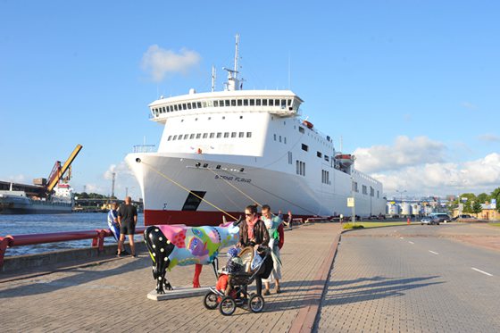 Stena Flavia der Reederei Stena Line - Bildquelle: Stena Line